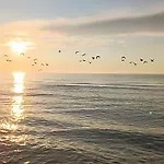 I Ara Pansiyon Karwia