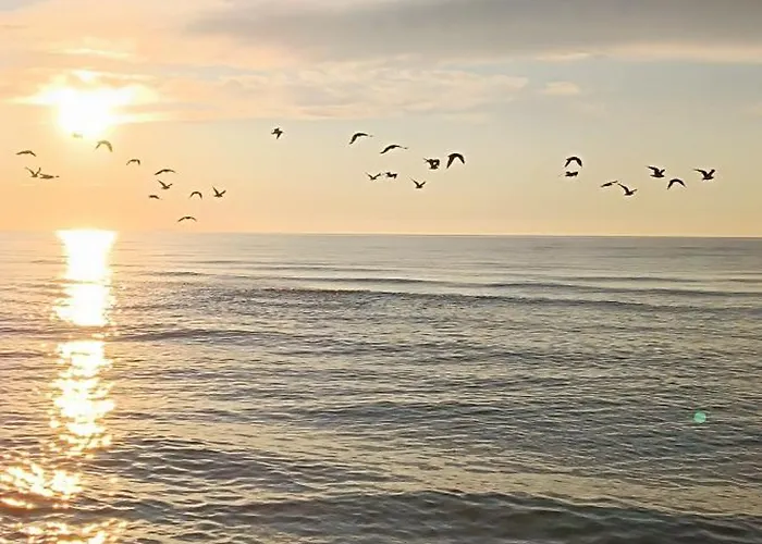 I Ara Privat bolig Karwia